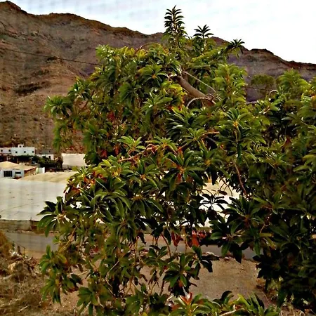 Tasarte 招待所 Playa de Tasarte